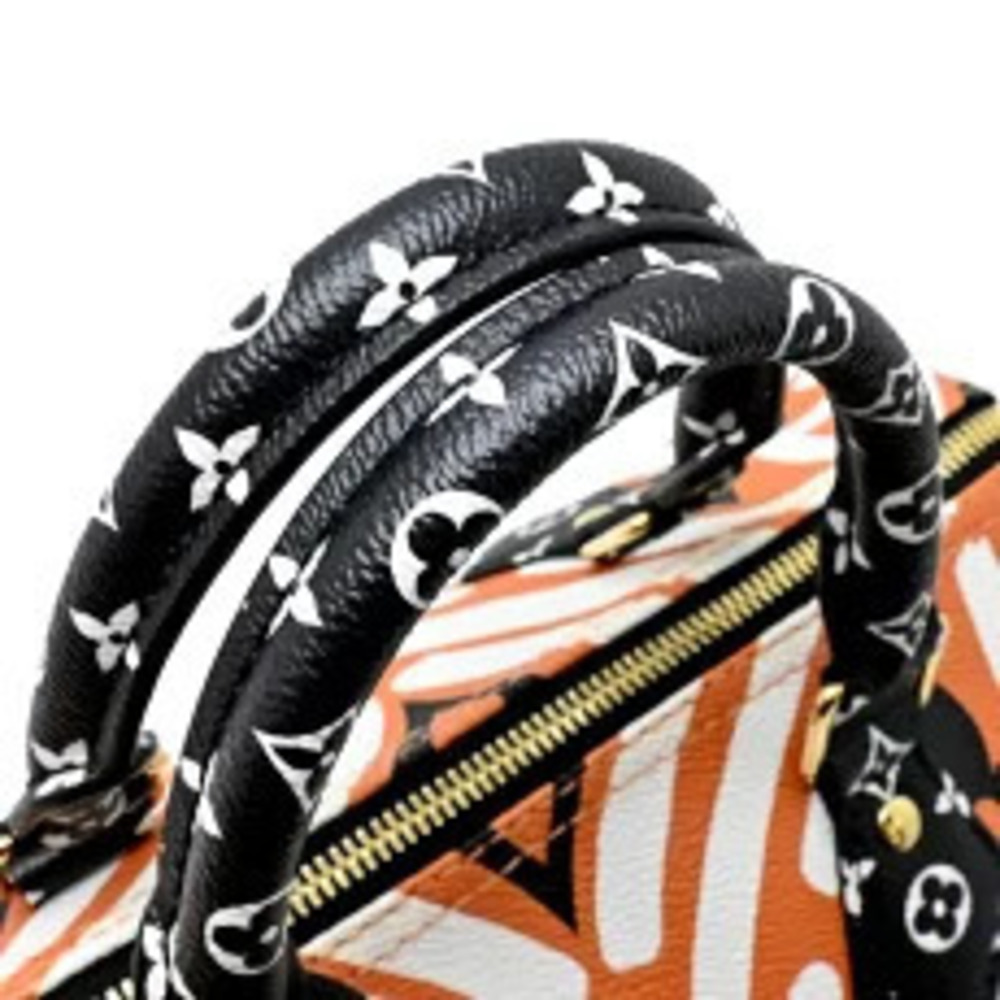 Louis Vuitton Speedy LV Canvas Bandoulire Crafty Handbag White - Picture 5 of 10